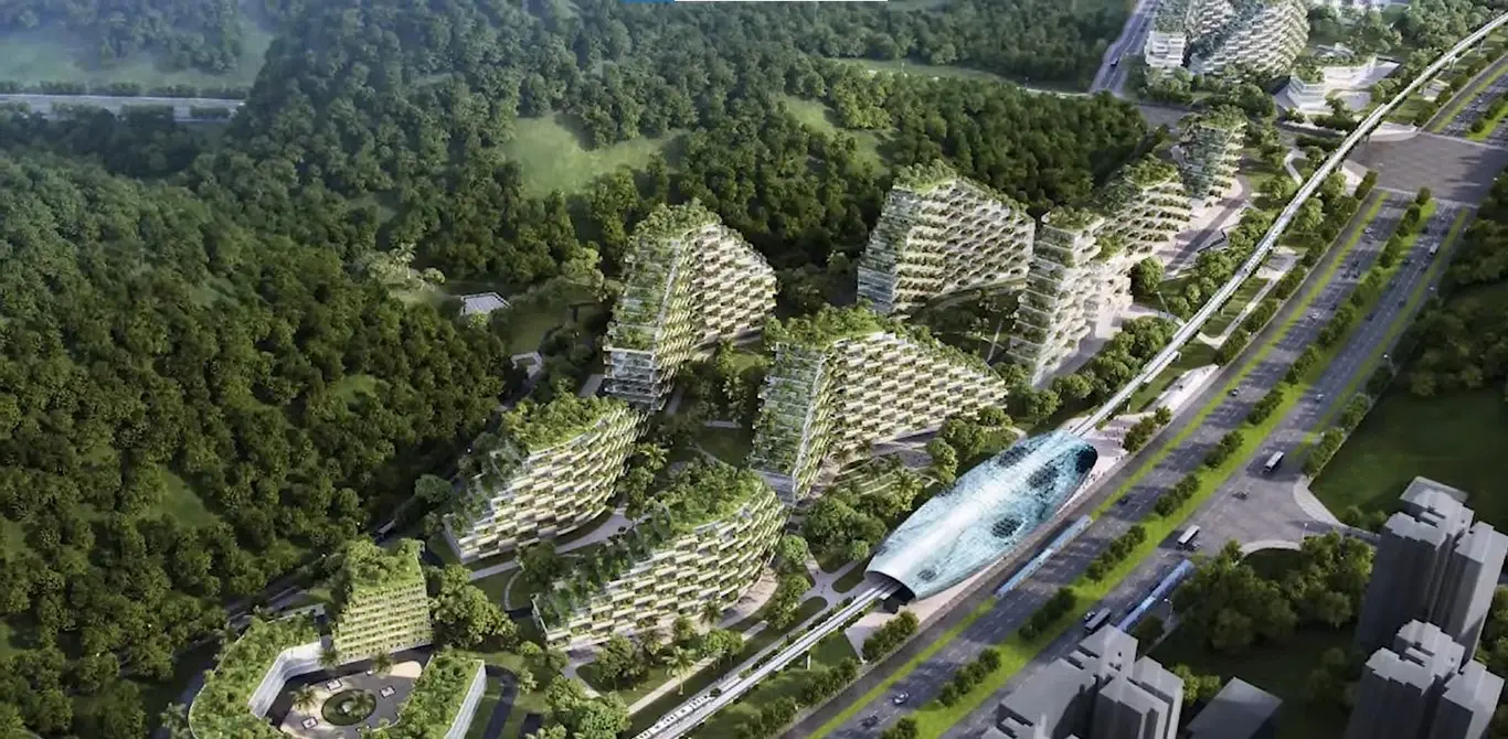 Green Building Practices in South Carolina